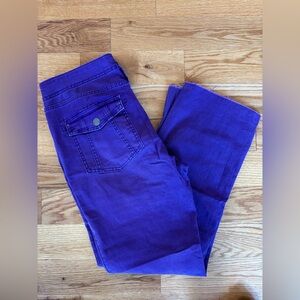 Pilcro Purple Pants